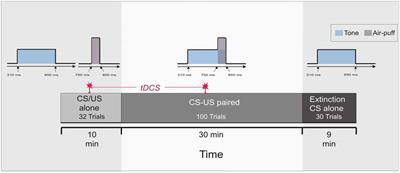 Cerebellar tDCS Effects on Conditioned Eyeblinks using Different Electrode Placements and Stimulation Protocols